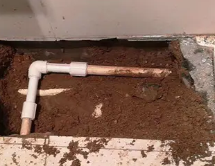 萝北测漏水哪家好