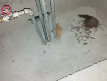 萝北卫生间测漏水价格明细