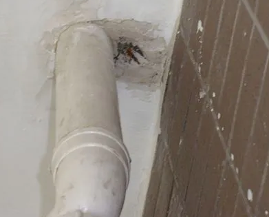 萝北漏水检测哪家好